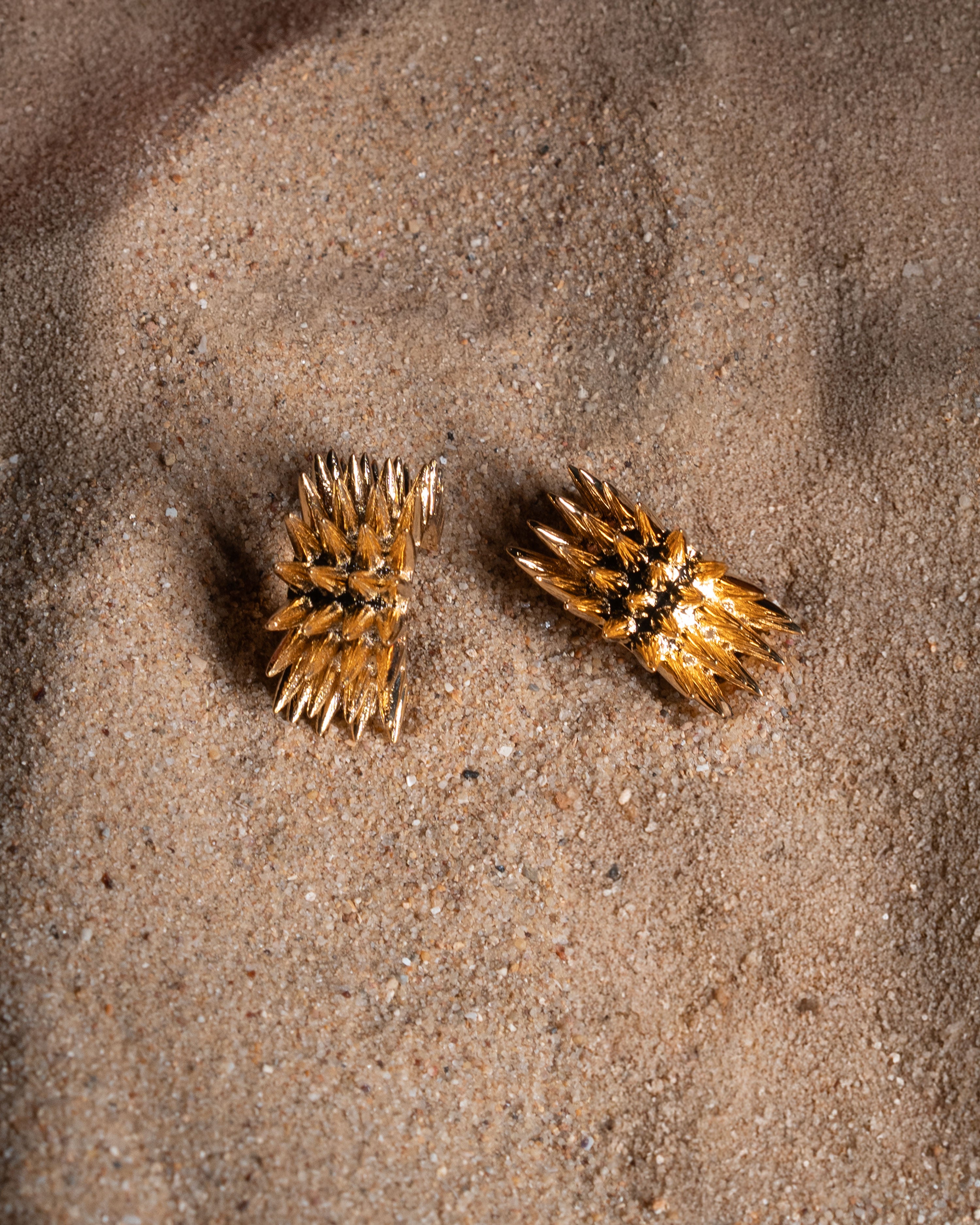 Boucles d'oreilles Avantika, or